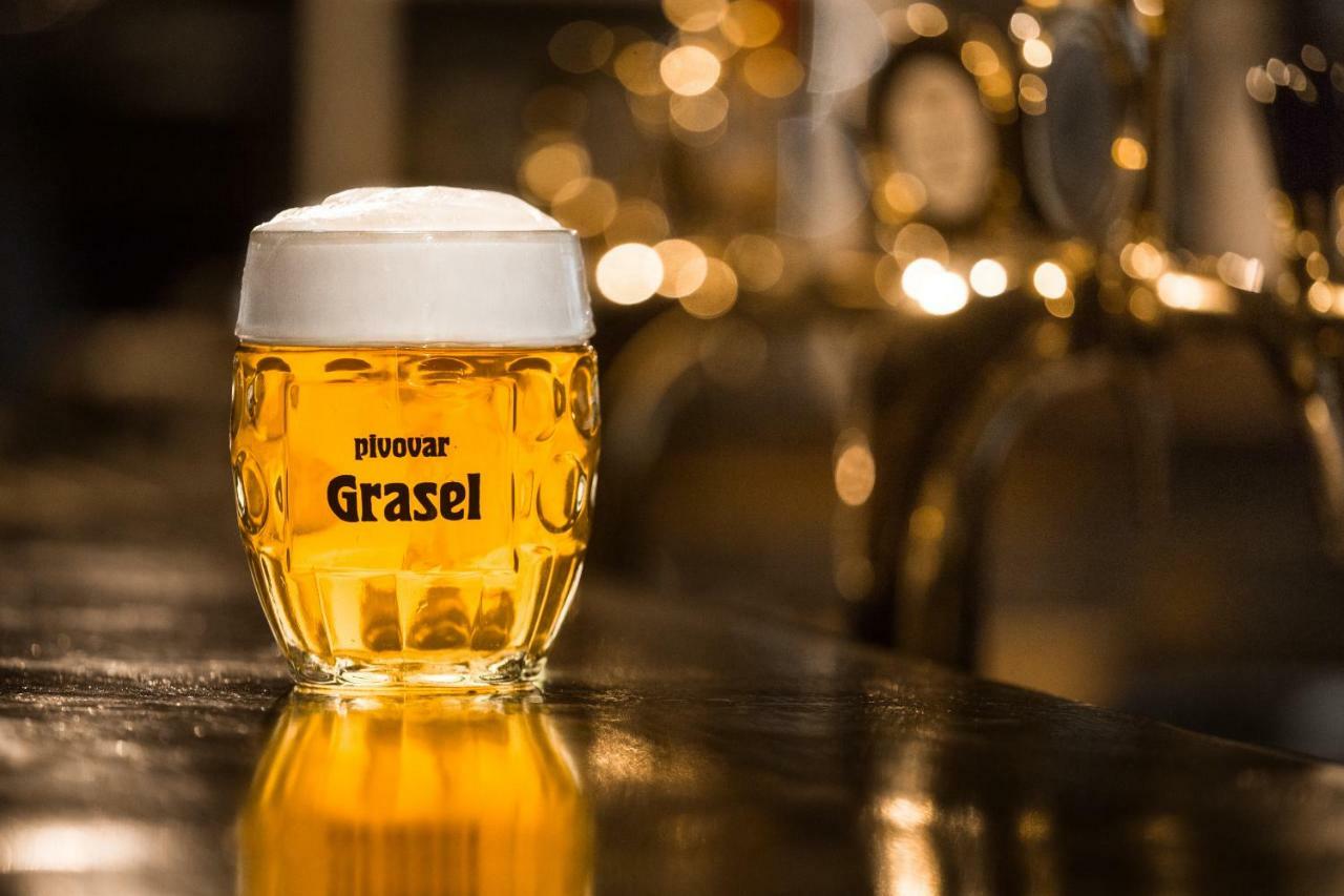 Pivovar&Penzion GRASEL Český Rudolec Esterno foto